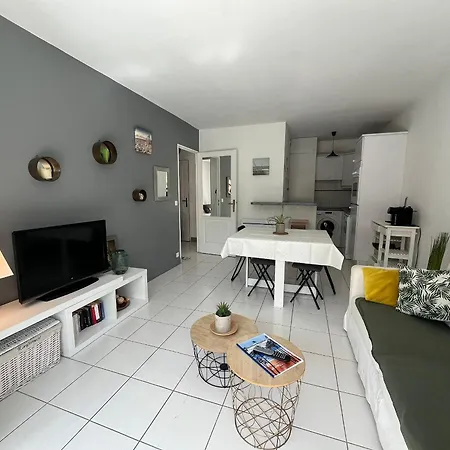 Appartamento Arcachon, 2 Pièces, 4 Personnes - Fr-1-374-3